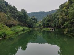 -桃花岭景区