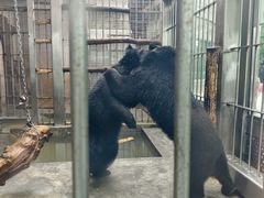 -青岛动物园