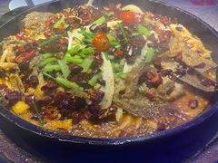 -老板恋上鱼(恒隆广场店)