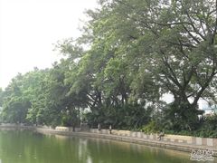 -晓港公园