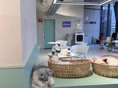 -怪兽屋·羊驼·猫咖·狗咖(俊华广场店)