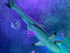 -沈阳海洋探索中心