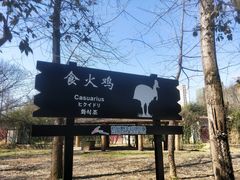 -杭州野生动物世界