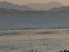 -深圳湾公园(南山区)