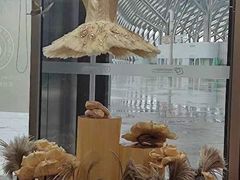 -邓肯舞蹈教育(深圳湾教学中心)