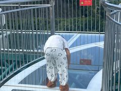 -呀诺达热带雨林