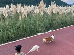 -阆辣荟餐饮(老味道8年·古城店)