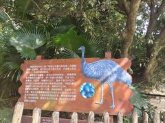 -深圳野生动物园