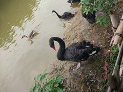 -艾溪湖湿地公园