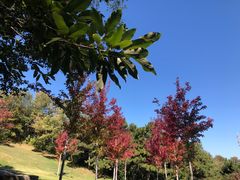 -北京宽沟会议中心