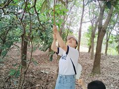 -塘栖枇杷特色园区