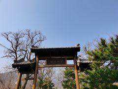 -阳台山自然风景区
