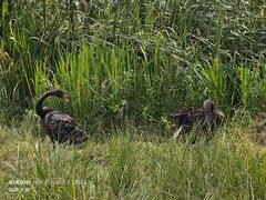 -昆山城市生态森林公园