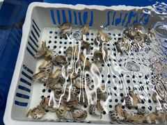 -明本湛江鸡•海鲜小厨(陈家祠店)