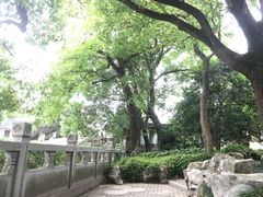 -汇龙潭