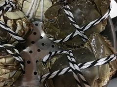 -七的湖·晚芳亭·阳澄湖农家菜·大闸蟹(莲花岛店)