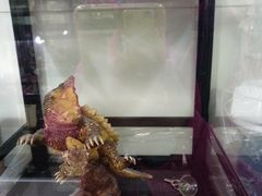 -乐宠宠物店(世纪金源店)