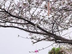-堤角公园
