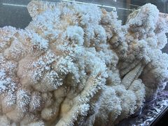 -湖南省地质博物馆