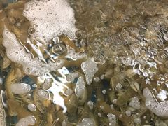 -宝燕海货工场(长江国际店)