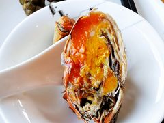 母蟹-品鲜村农家菜·阳澄湖大闸蟹(总店)