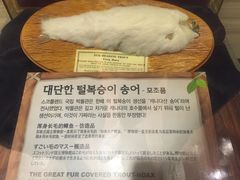 -信不信由你博物馆