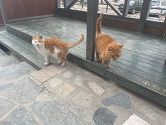 -北京水岸山吧度假村(雁栖镇店)