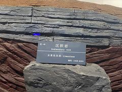 -郑州自然博物馆(惠济区)