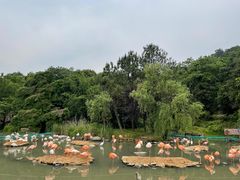 -宁波野生动物园
