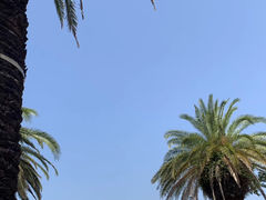 -日本环球影城