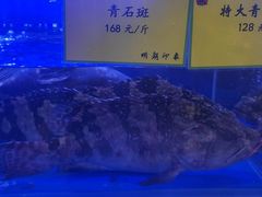 -鹊华居·地道鲁菜·海鲜·融合味(大明湖店)
