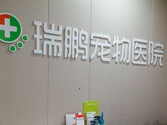 -瑞鹏宠物医院·爱宠堂·骨外专科(西荷分院)