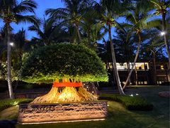 -海南清水湾莱佛士酒店