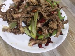 干煸鱿鱼须-鑫来子菜馆