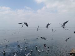-小普陀