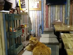-小时光咖啡馆(开森度假森林店)