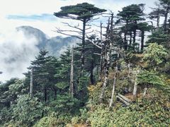-苍山感通索道