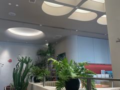 -隅乐胡椒虾·台湾菜·团建(皇岗店)