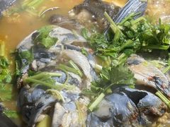 -好灶头妈妈菜·柴火灶台鱼·千岛湖土菜地标美食