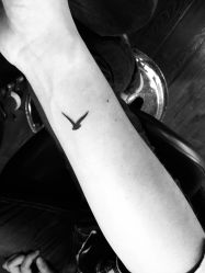 点击看大图 -刺客纹画纹身·洗纹身·穿孔饰品