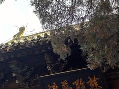 -洛阳白马寺