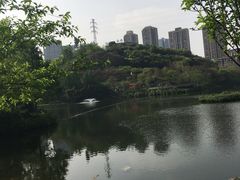 -重庆彩云湖湿地公园