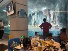 -帝企鹅自助餐厅•儿童岛•真企鹅(长隆企鹅酒店)