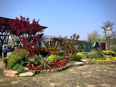 -上海长兴岛郊野公园