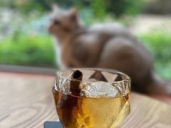 -咖法森林·咖啡  酒吧(天河店)