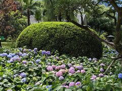 -静安公园(静安寺街道)