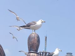 -大连老虎滩海洋公园