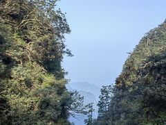 -峨眉山风景名胜区