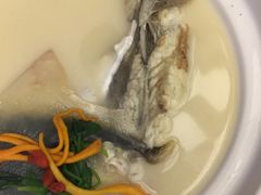 养颜白汁河豚-肆月河豚·新淮扬(金融街店)