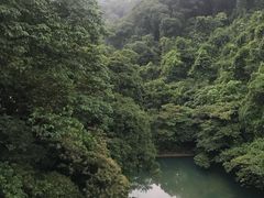 -鼎湖山风景区